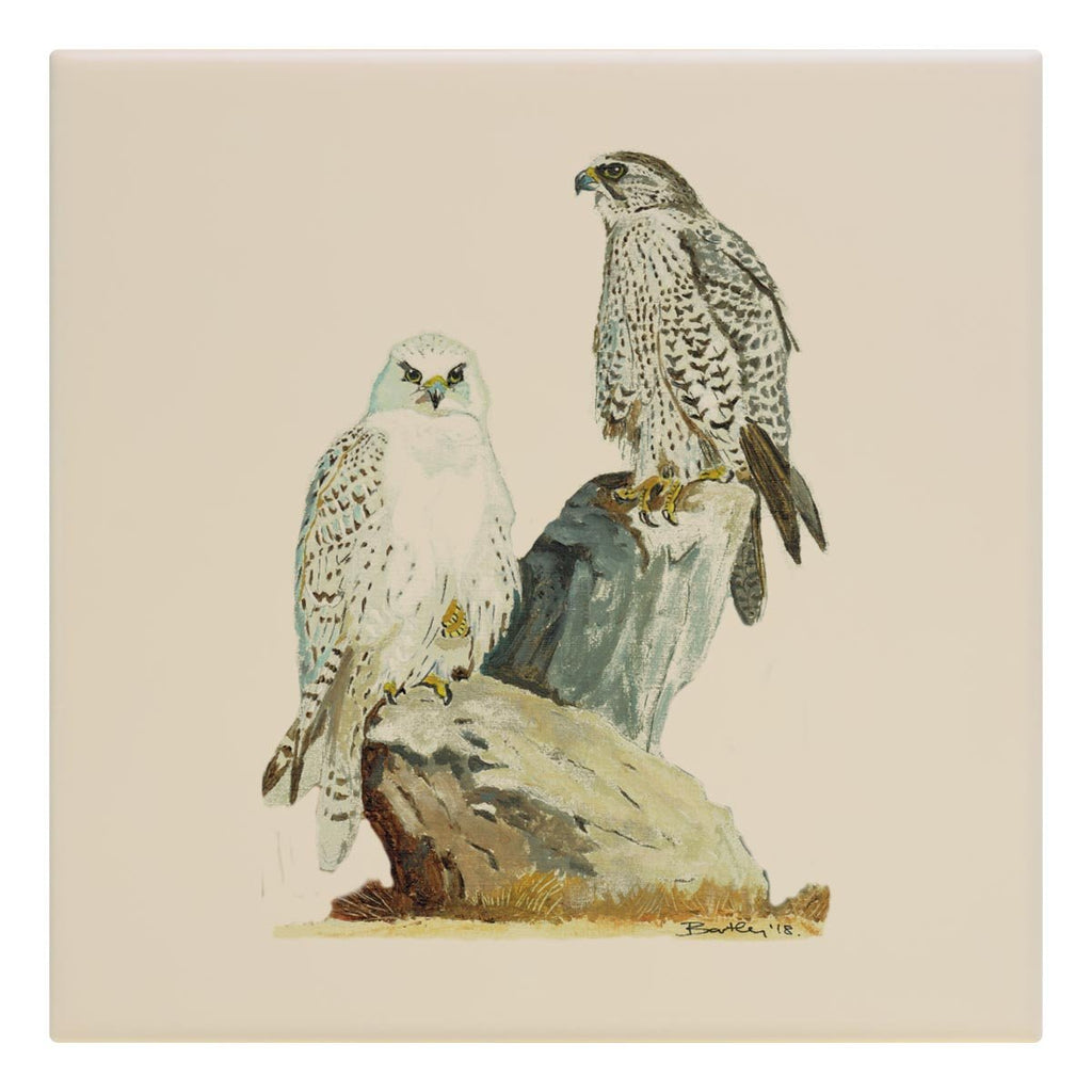 Sahar and Gyr Falcons Tile - Countryman John