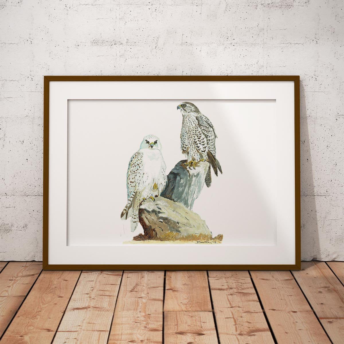 Sahar and Gyr Falcons Wall Art Print - Countryman John