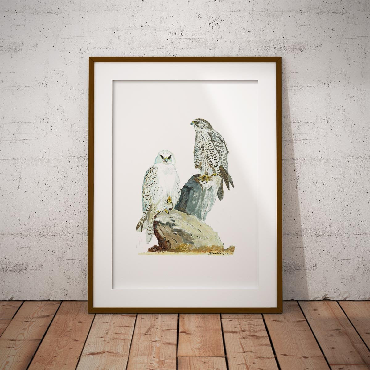 Sahar and Gyr Falcons Wall Art Print - Countryman John