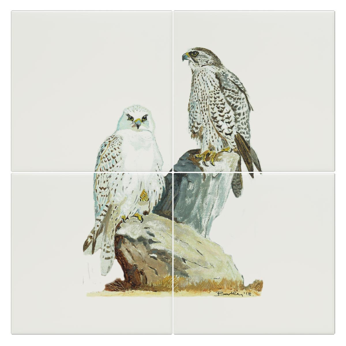 Sahar and Gyr Falcons Tile - Countryman John