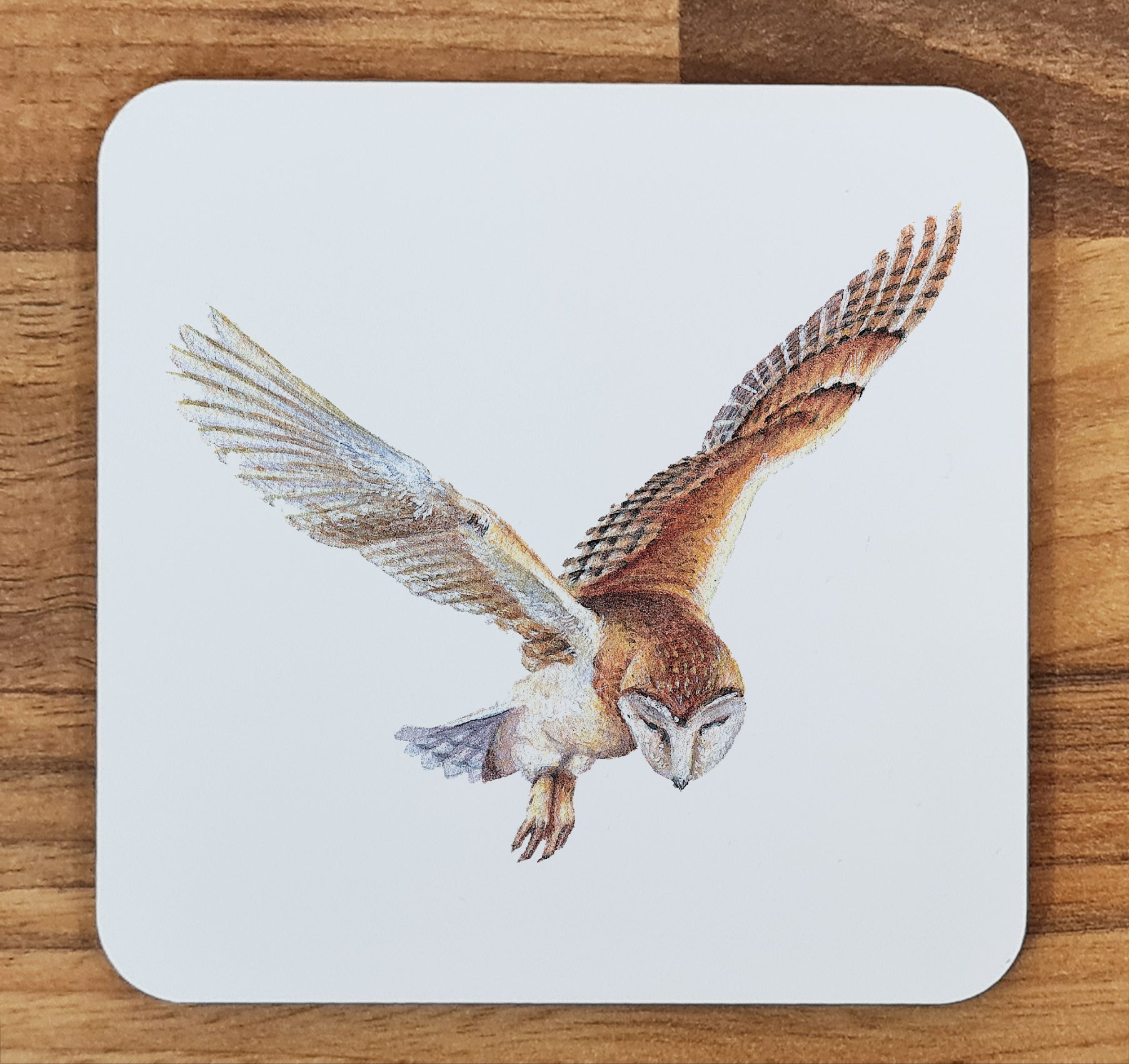 owl coaster