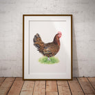 Hen Wall Art Print - Countryman John