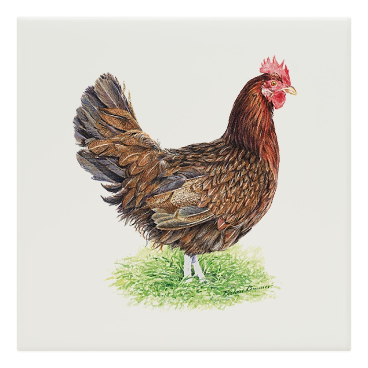 Hen Tile - Countryman John