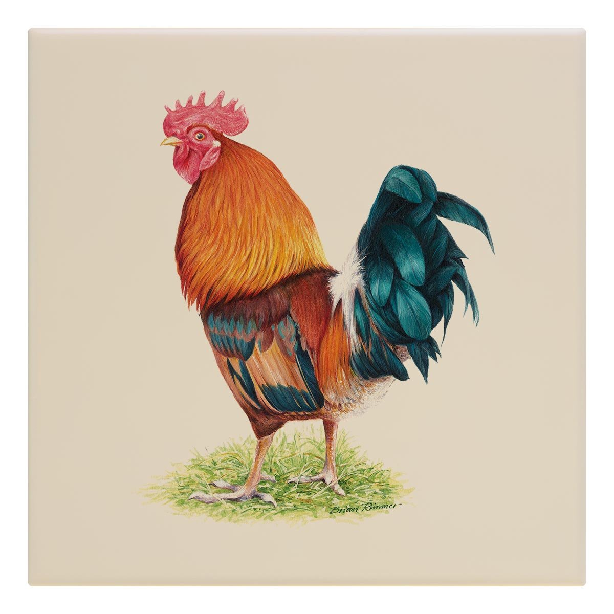 Cockerel Tile - Countryman John