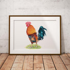 Cockerel Wall Art Print - Countryman John