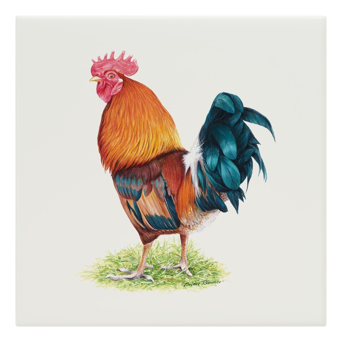 Cockerel Tile - Countryman John