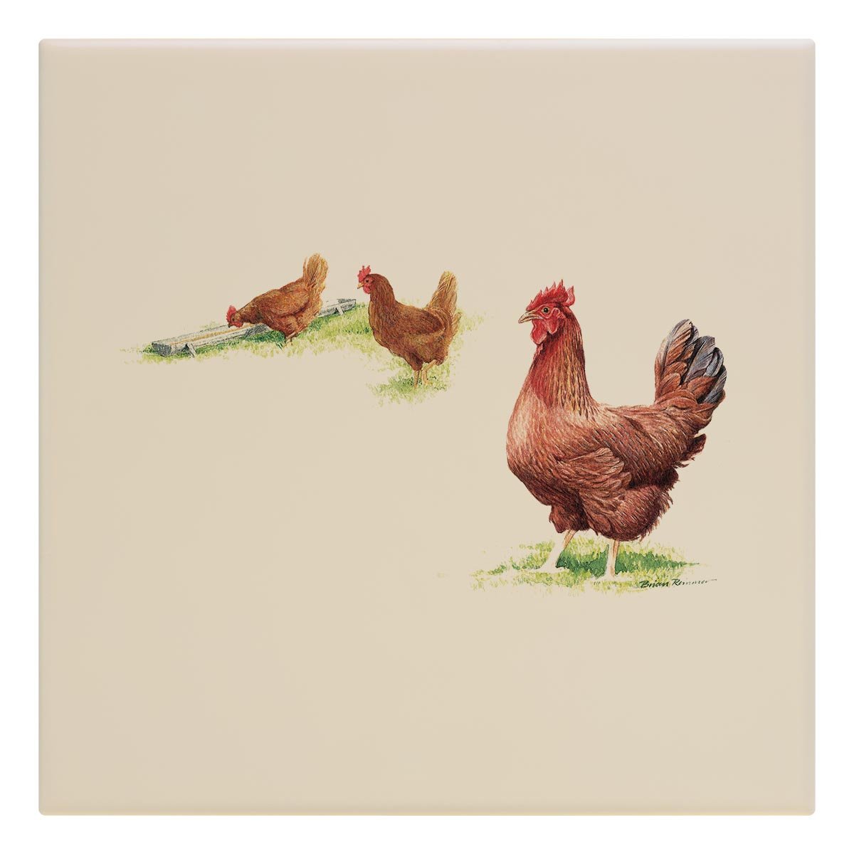 Hens Tile - Countryman John