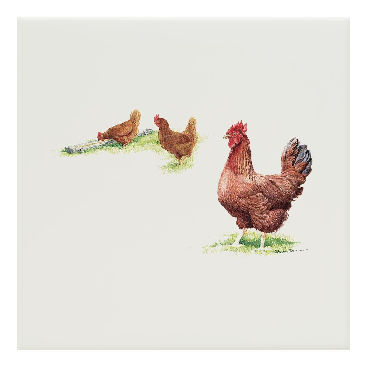 Hens Tile - Countryman John