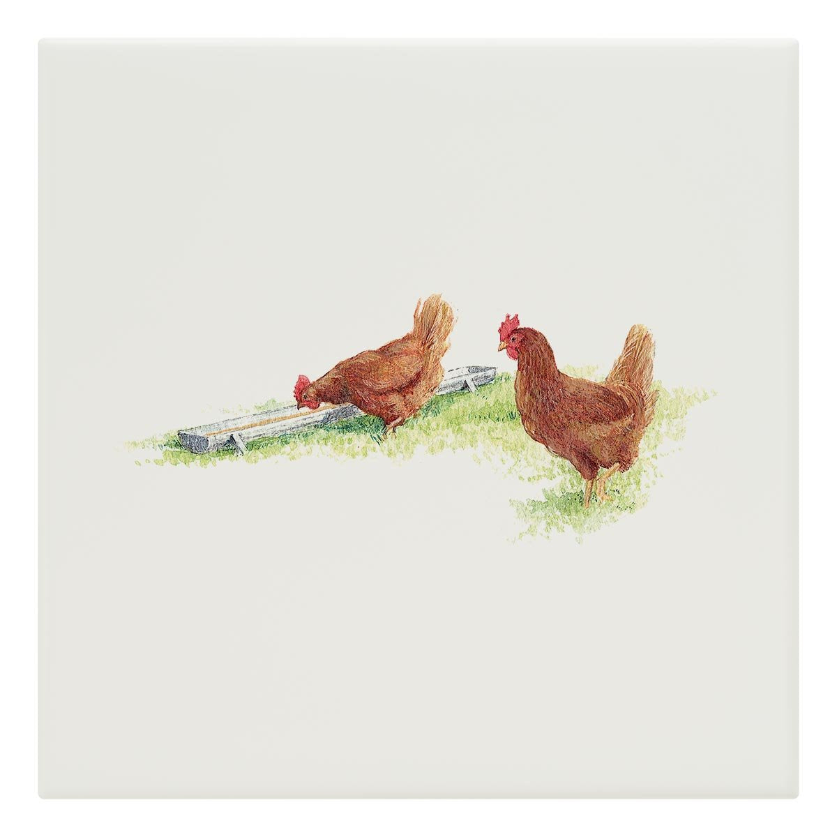 Drinking Hens Tile - Countryman John