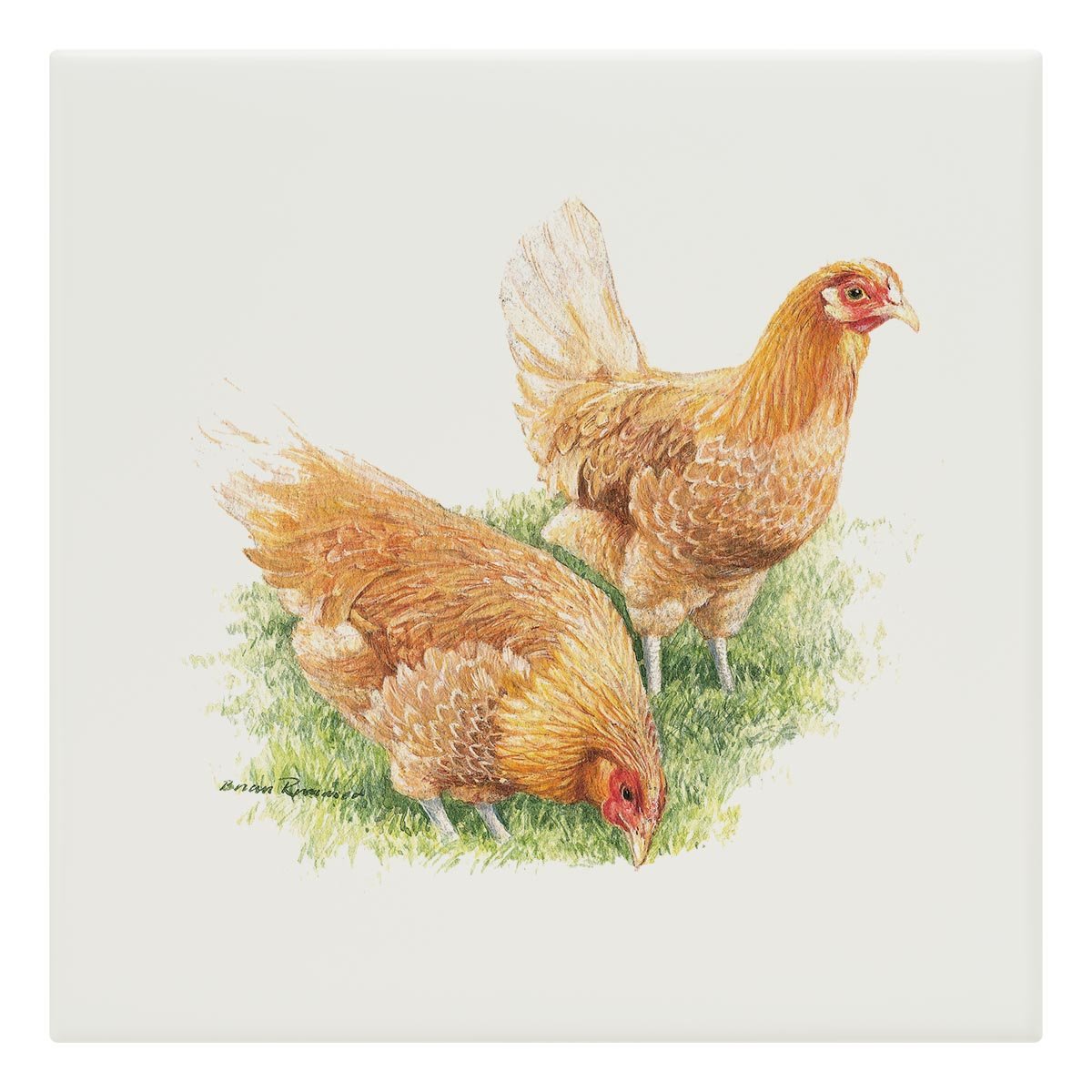 Feeding Hens Tile - Countryman John