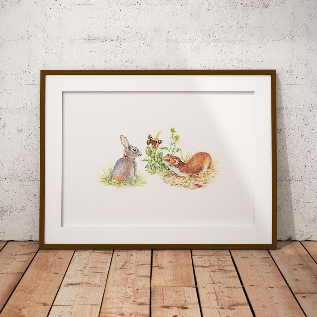 Rabbit and Stoat Wall Art Print - Countryman John