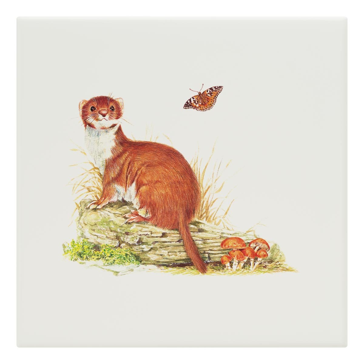 Stoat on Log Tile - Countryman John