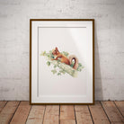 Red Squirrel Wall Art Print - Countryman John