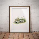 Badger Cubs Wall Art Print - Countryman John