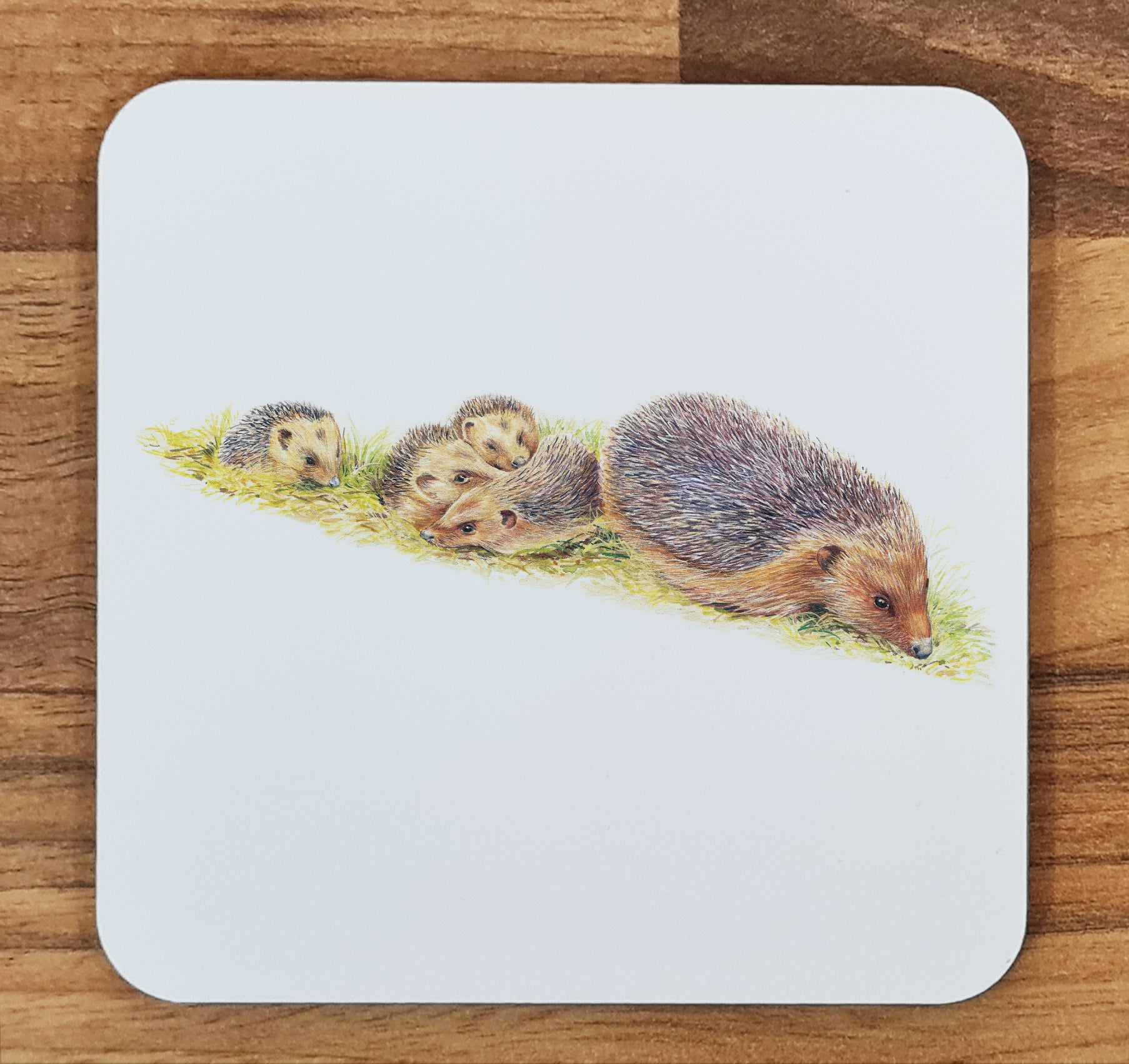 hedgehogs coaster