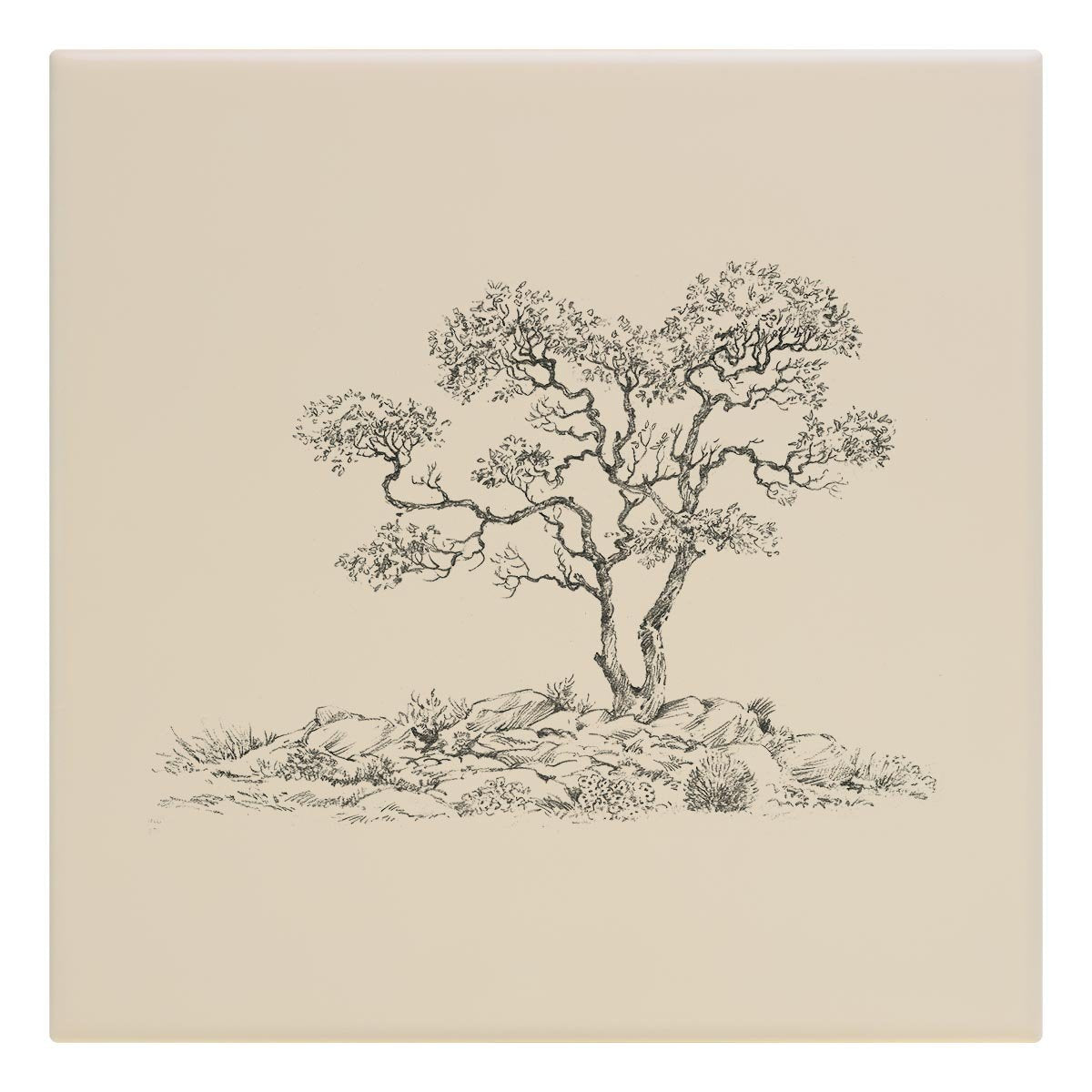 Gnarled Tree Tile - Countryman John