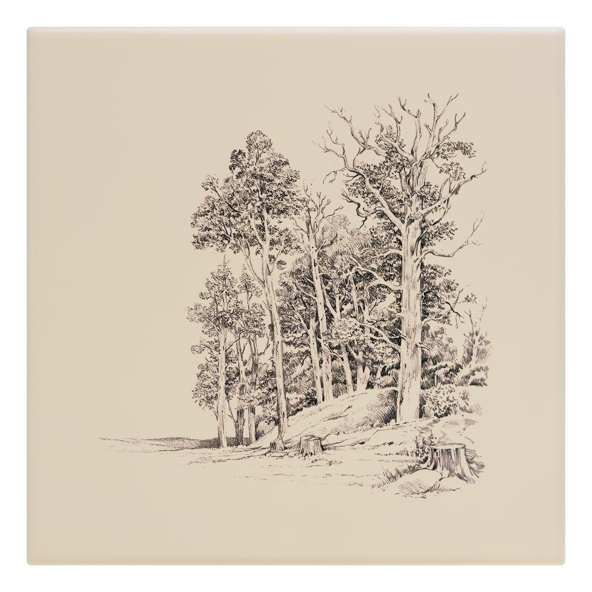 Stand of Elms Tile - Countryman John