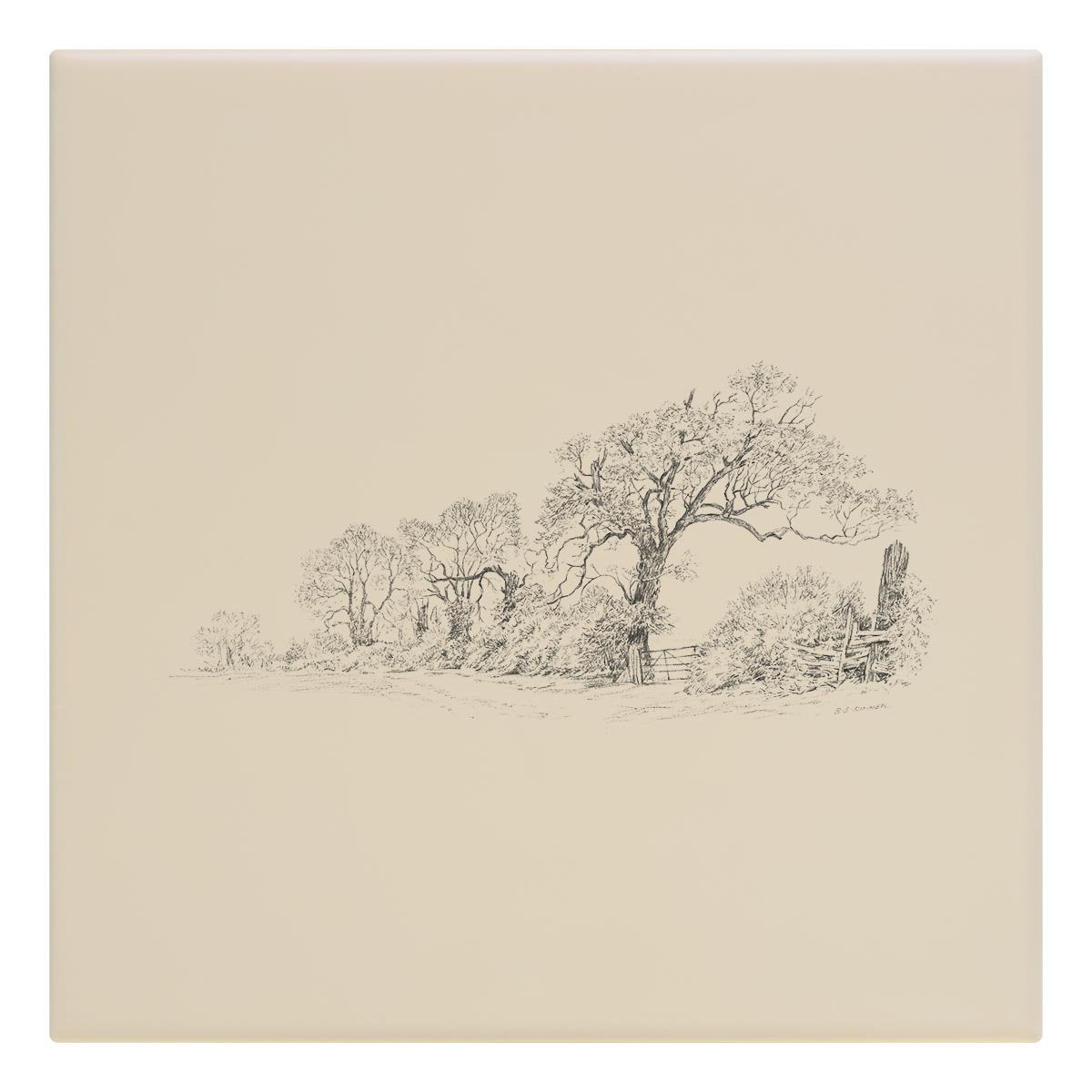 Trees and Lane Tile - Countryman John