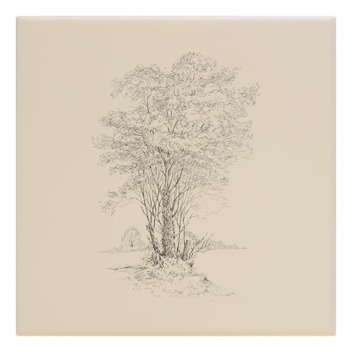 Grand Old Tree Tile - Countryman John