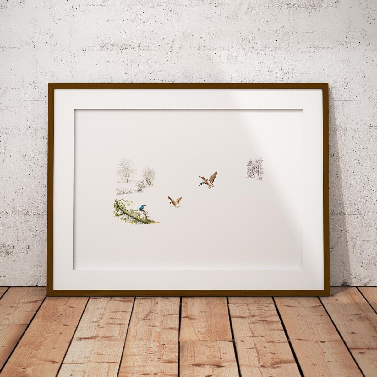 Kingfisher and Ducks Wall Art Print - Countryman John