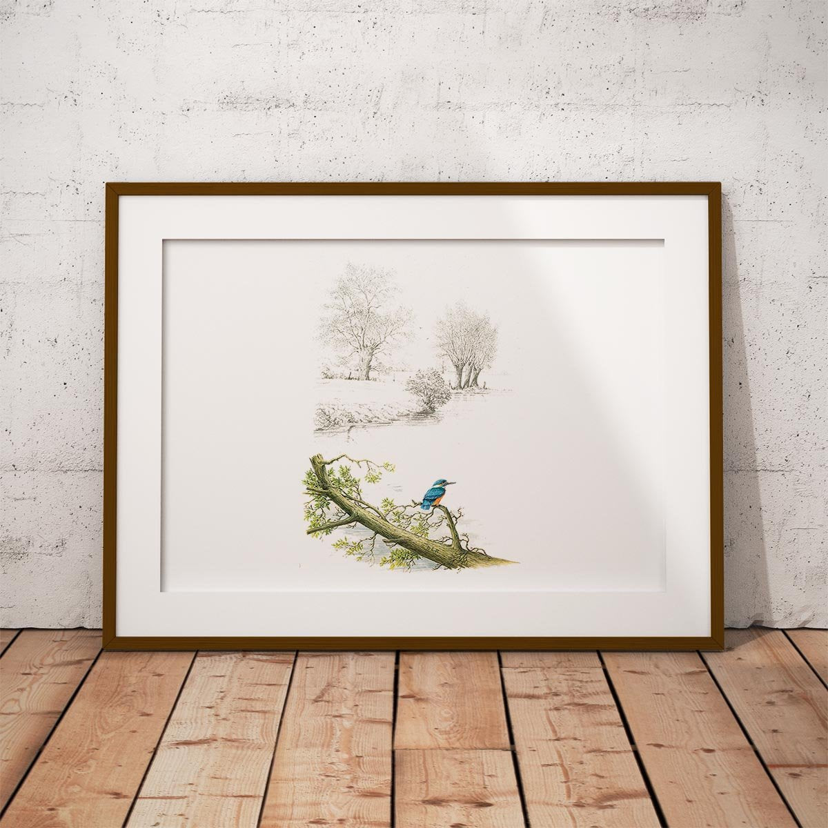 Kingfisher Alone Wall Art Print - Countryman John