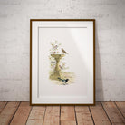 Bird Bath Wall Art Print - Countryman John