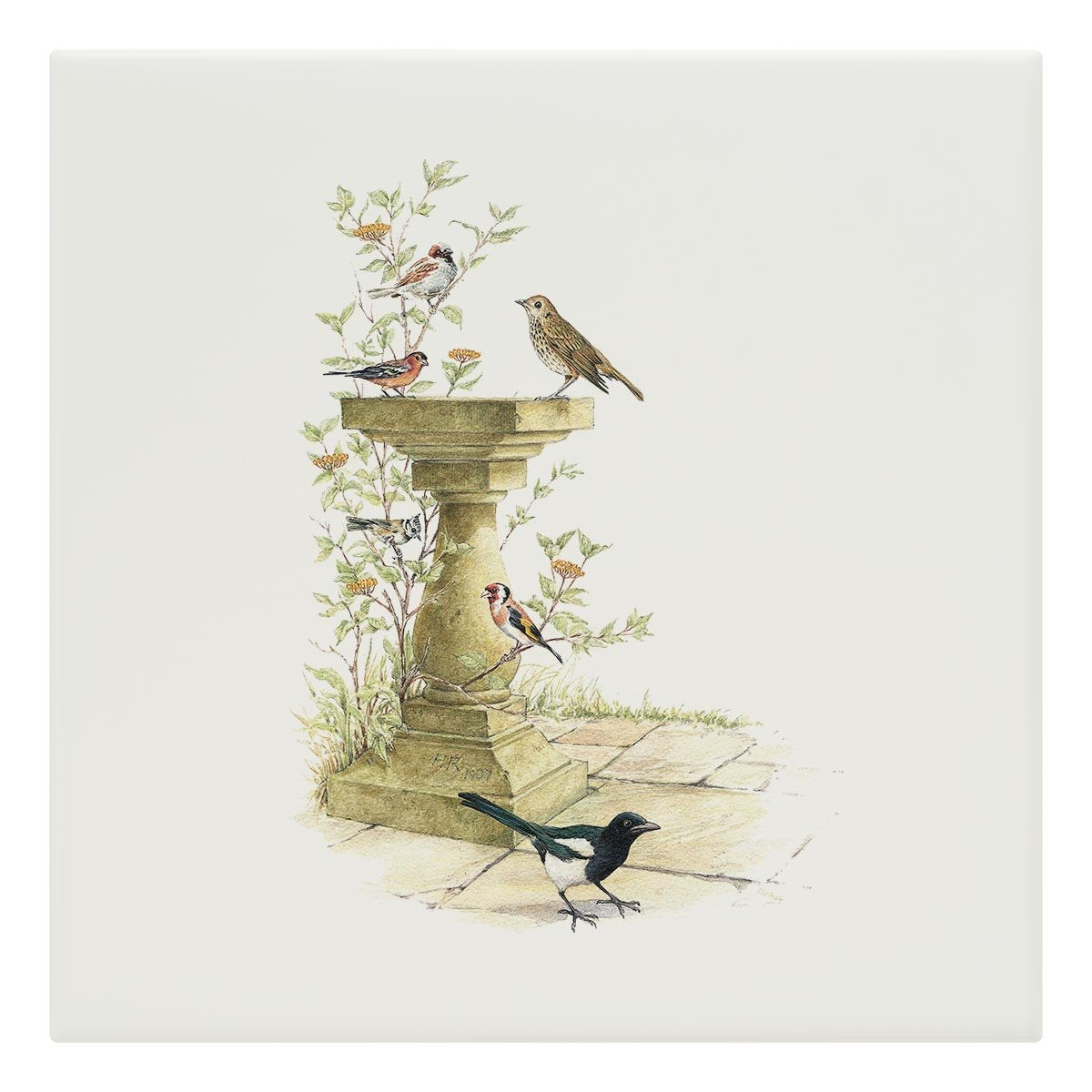 Bird Bath Tile - Countryman John