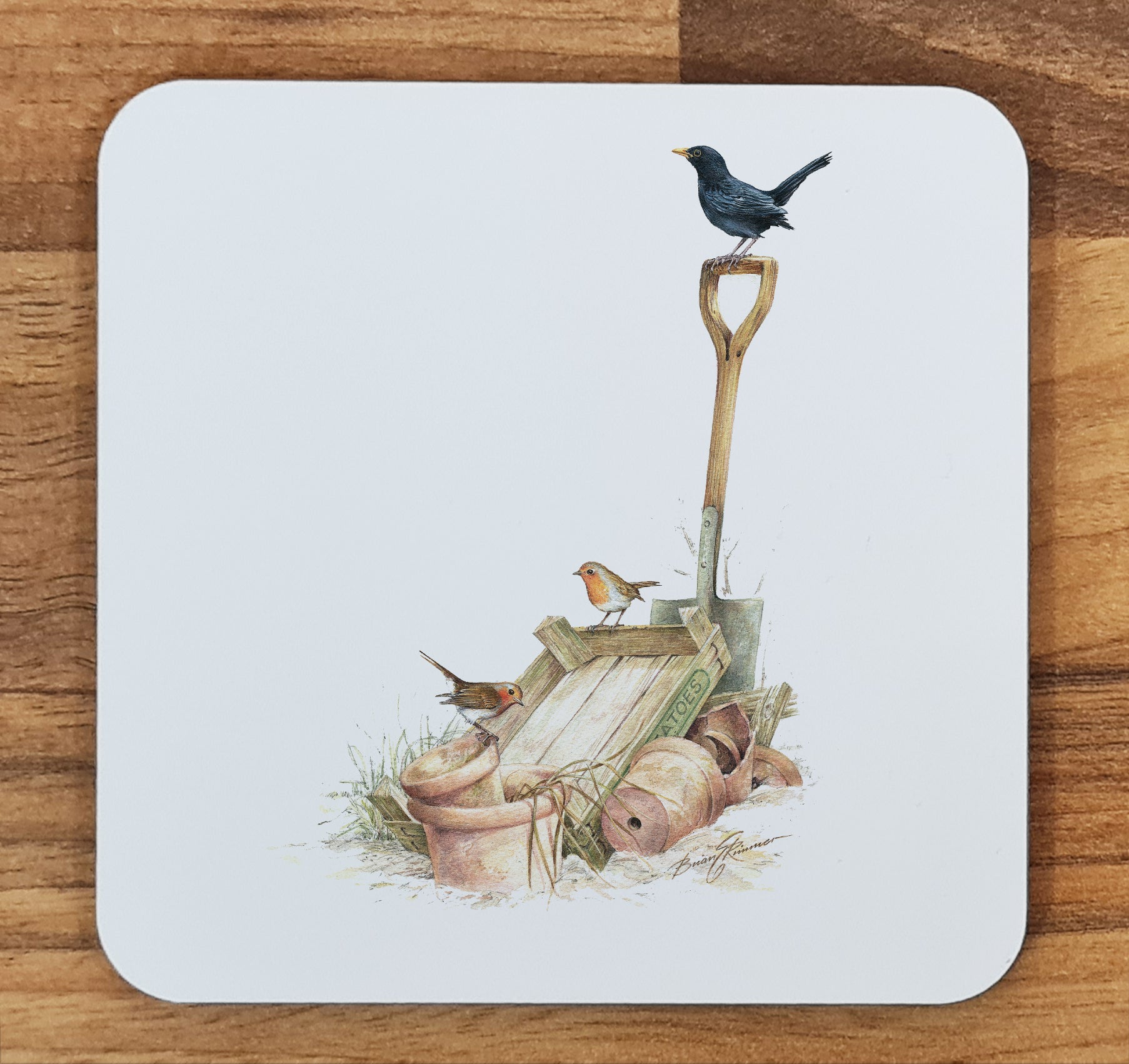 bird coaster