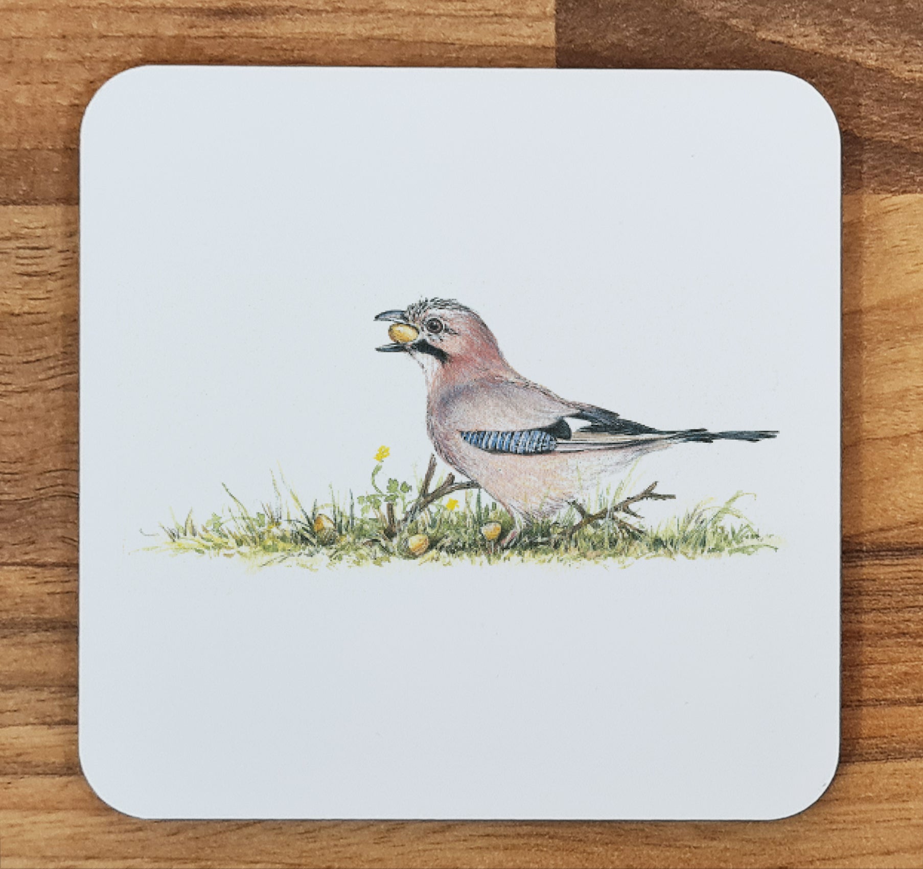 bird coaster