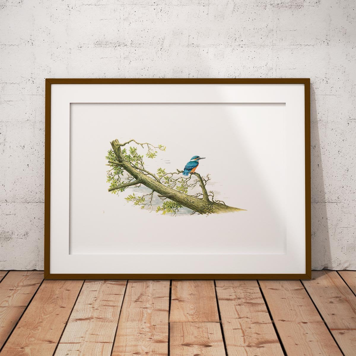 Kingfisher Wall Art Print - Countryman John