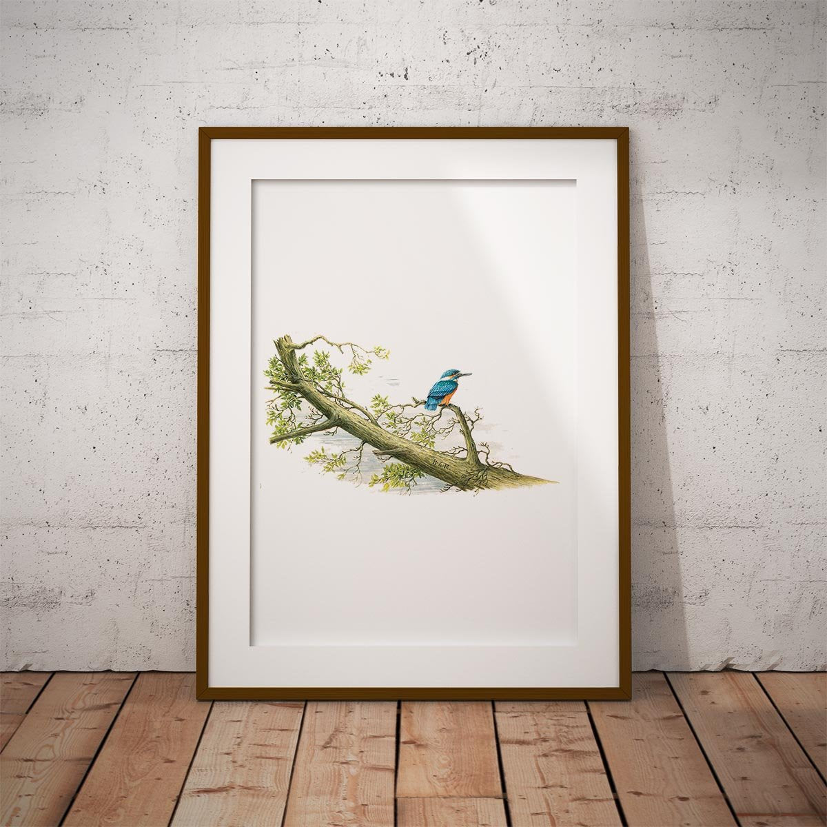 Kingfisher Wall Art Print - Countryman John