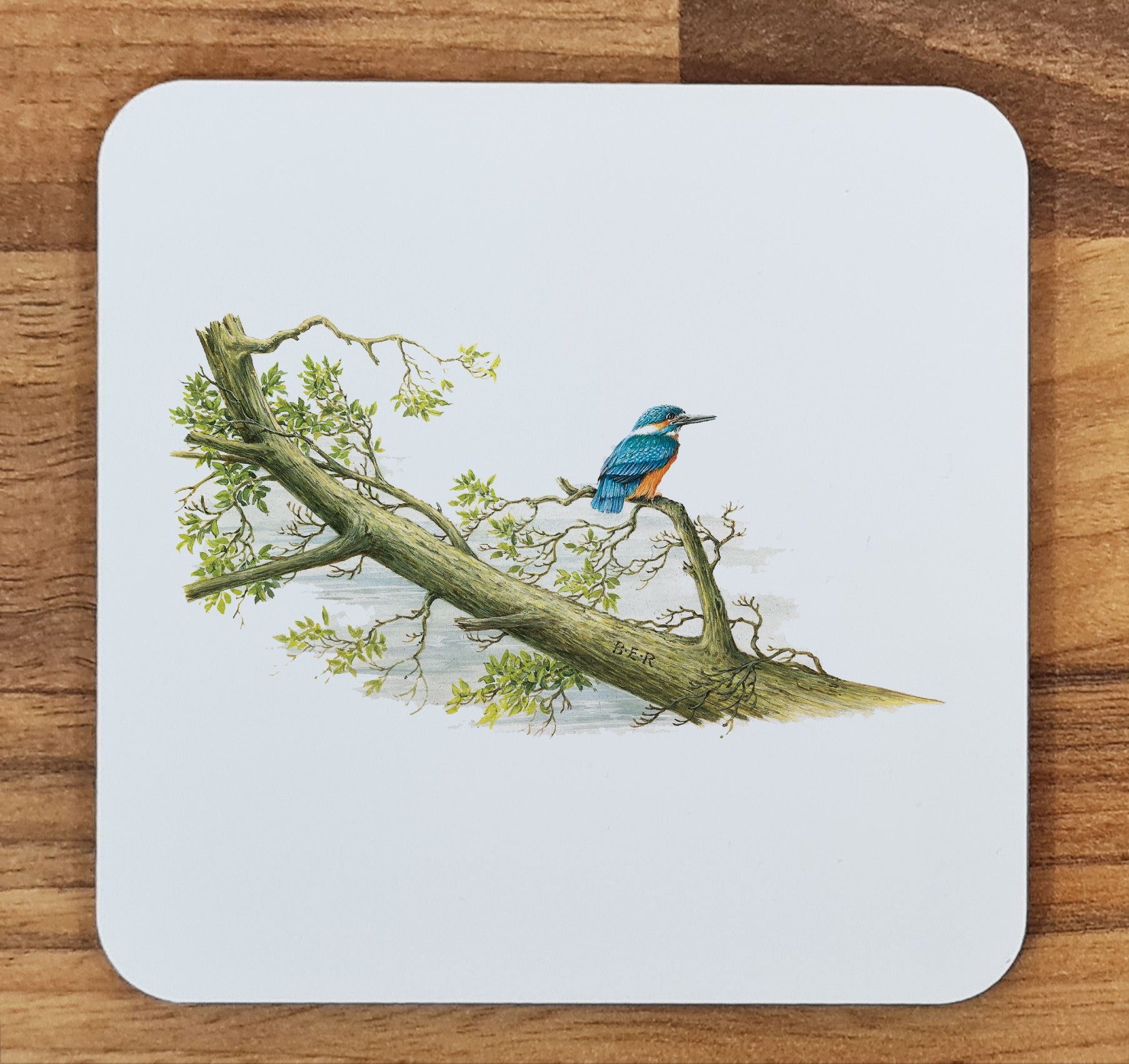 bird coaster