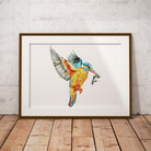 Kingfisher in Flight Wall Art Print - Countryman John