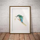 Kingfisher with Catch Wall Art Print - Countryman John