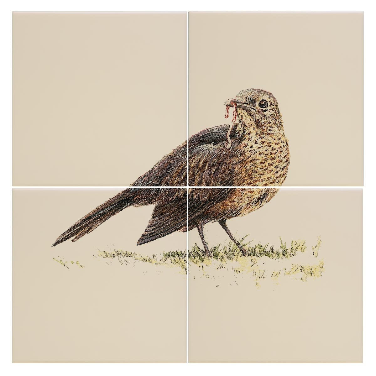 Song Thrush Tile - Countryman John