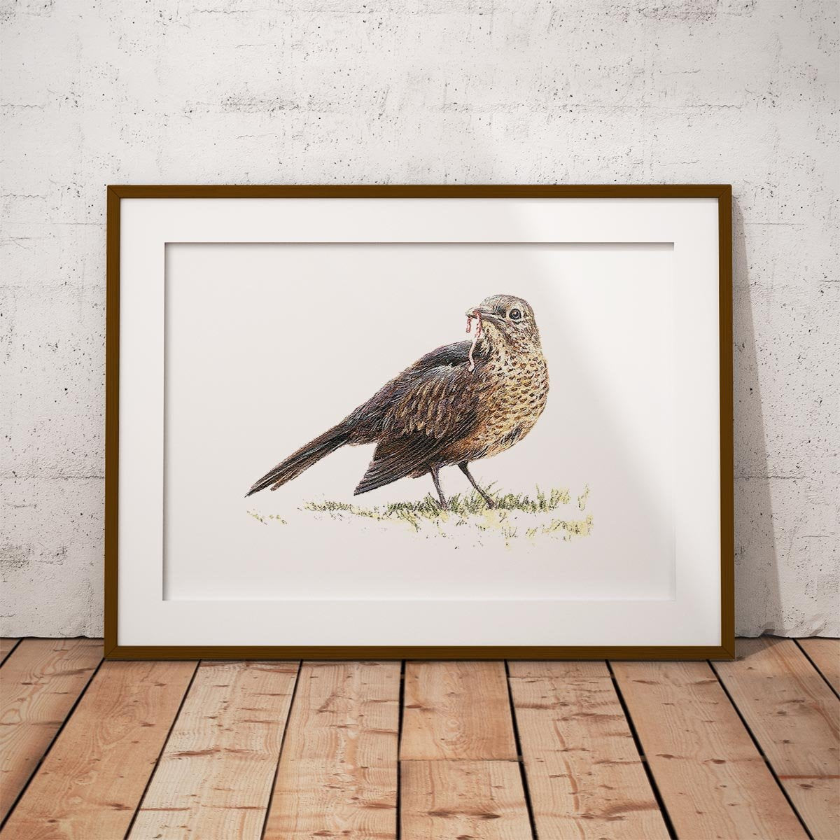 Song Thrush Wall Art Print - Countryman John