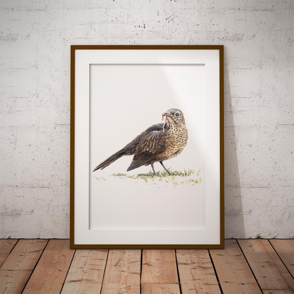 Song Thrush Wall Art Print - Countryman John