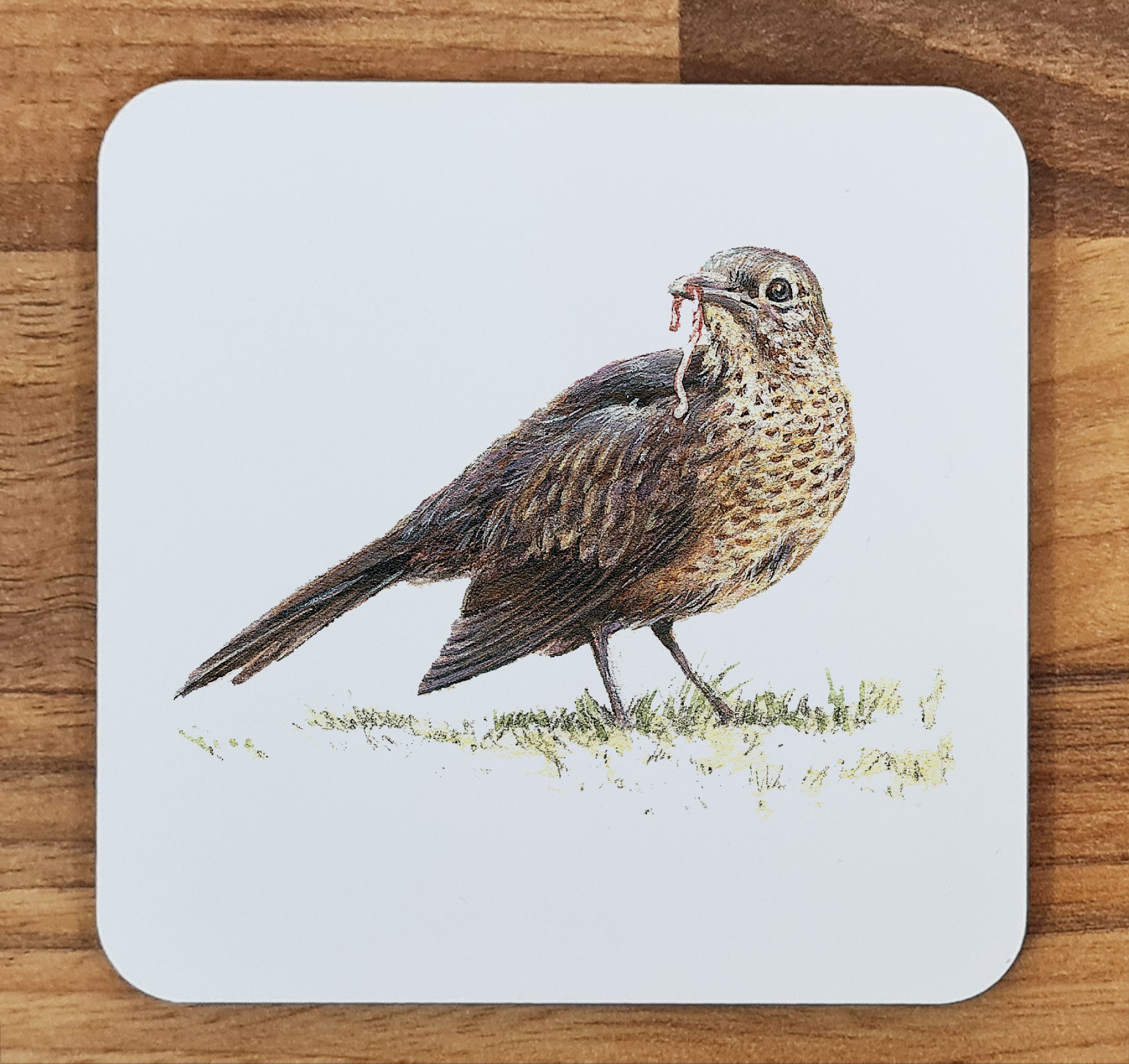 bird coaster