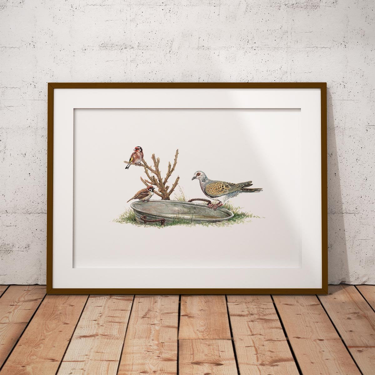 Turtle Dove Wall Art Print - Countryman John