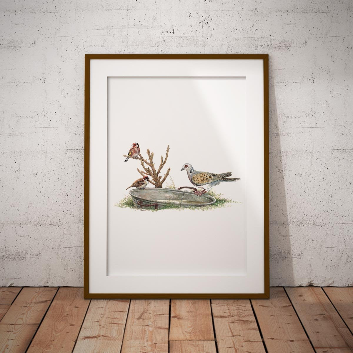 Turtle Dove Wall Art Print - Countryman John