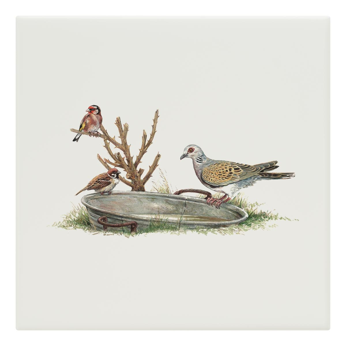 Turtle Dove Tile - Countryman John