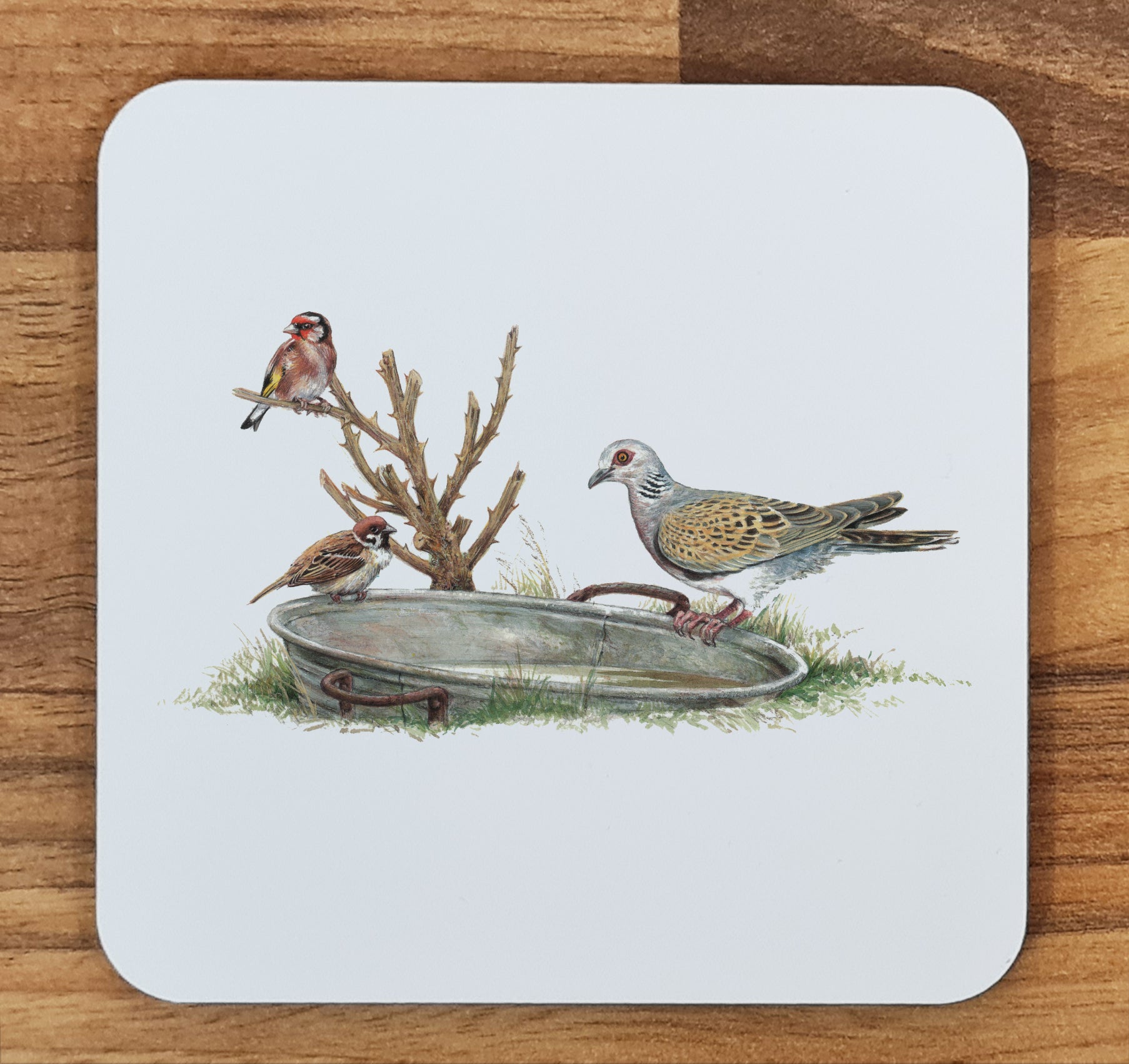 bird coaster