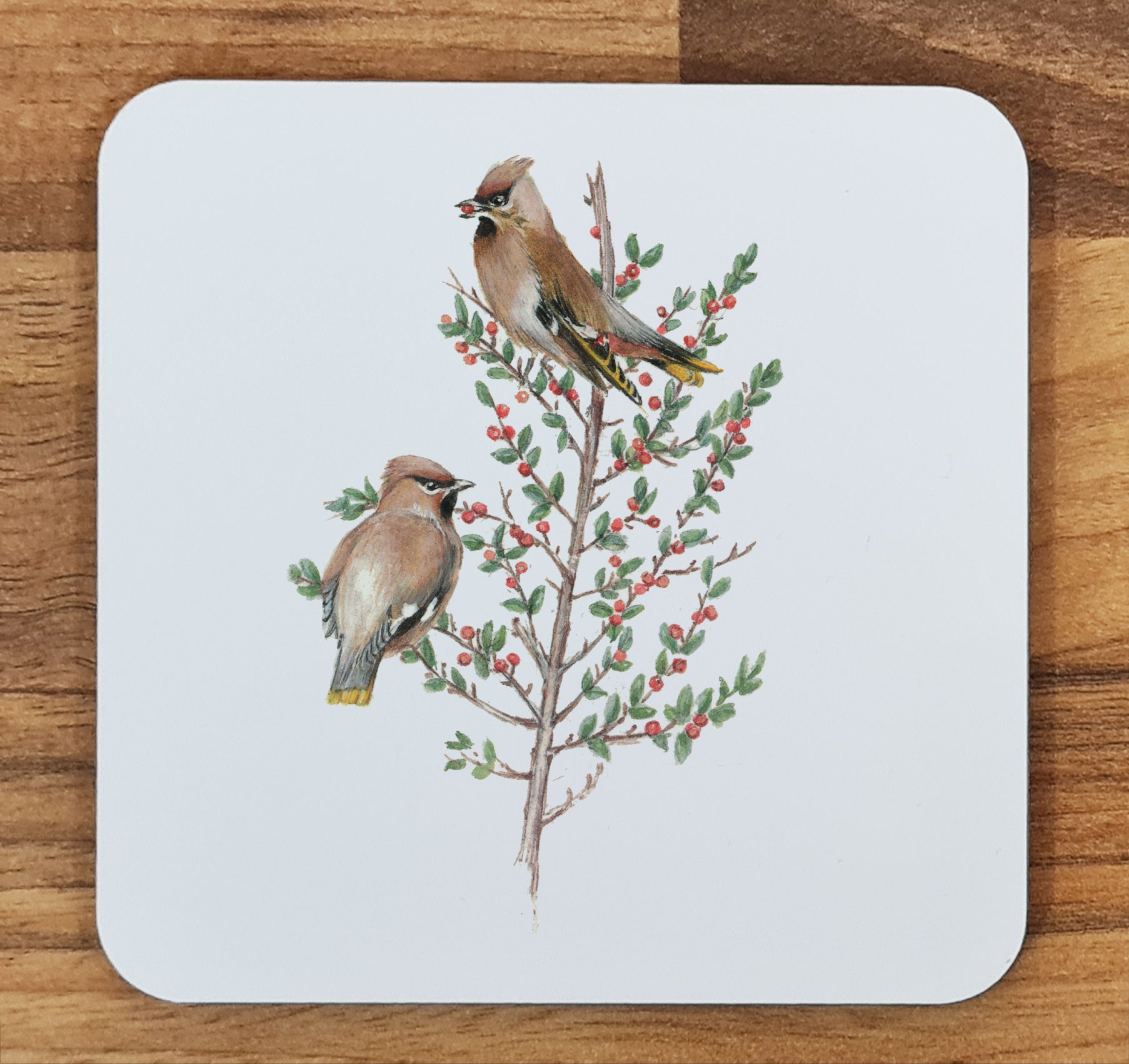 bird coaster