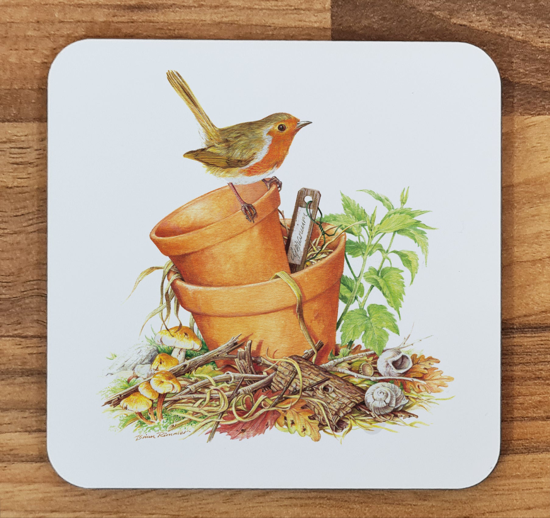 bird coaster