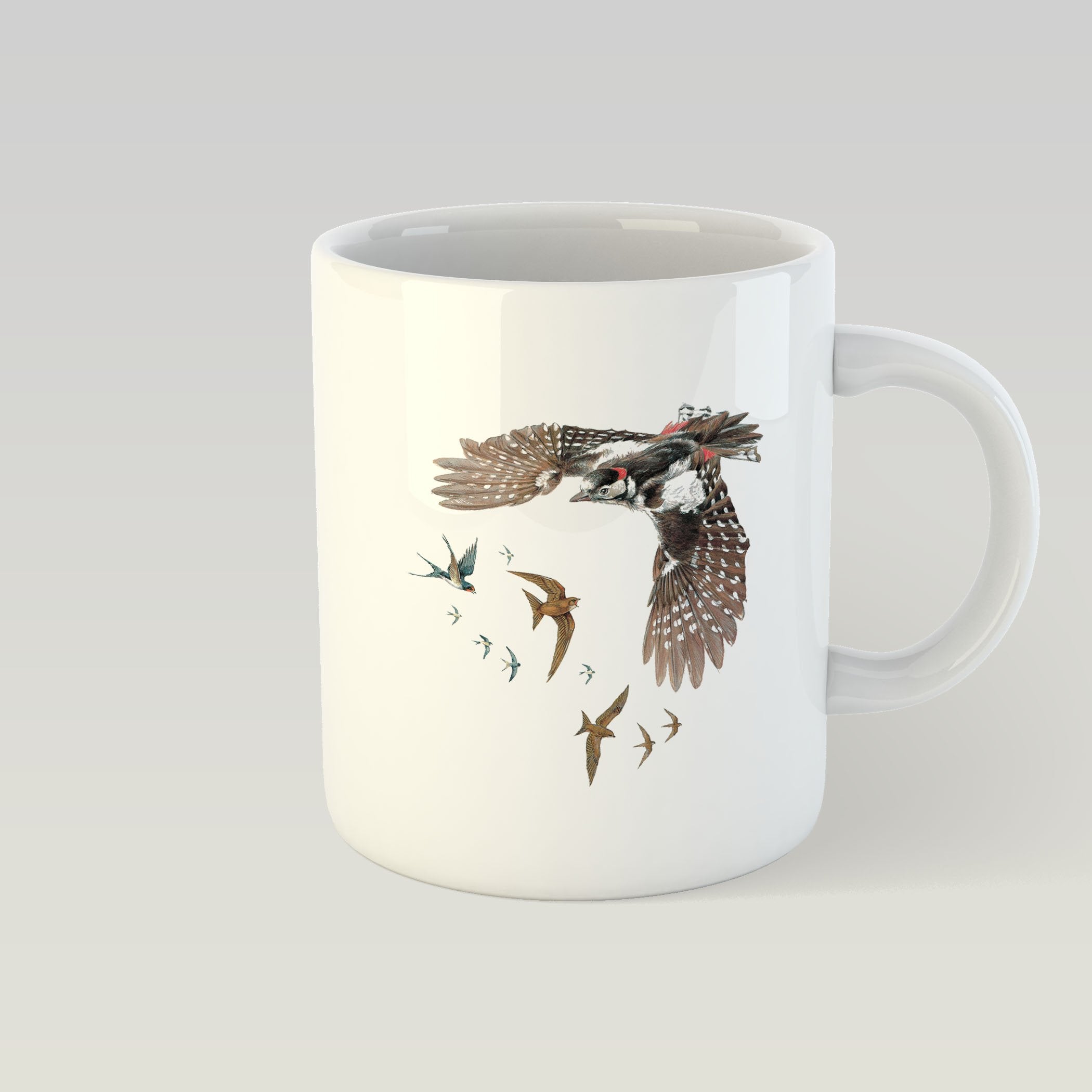 Woodpecker Swallows and Swifts Mug - Countryman John