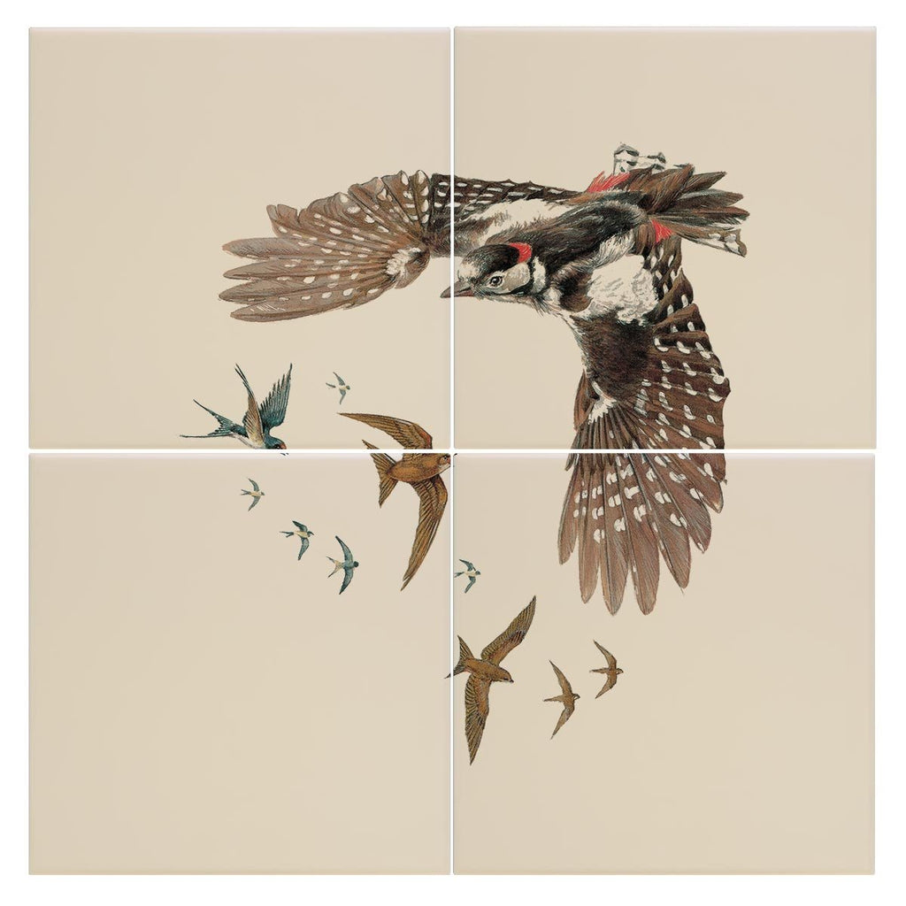 Woodpecker Swallows and Swifts Tile - Countryman John