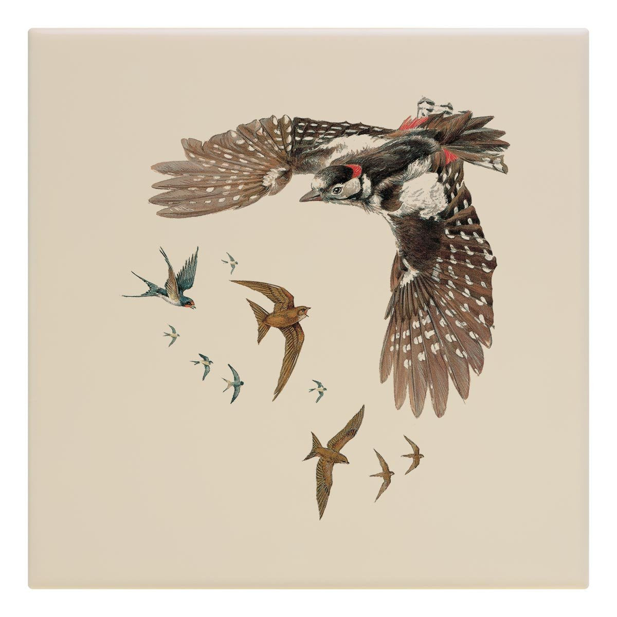 Woodpecker Swallows and Swifts Tile - Countryman John