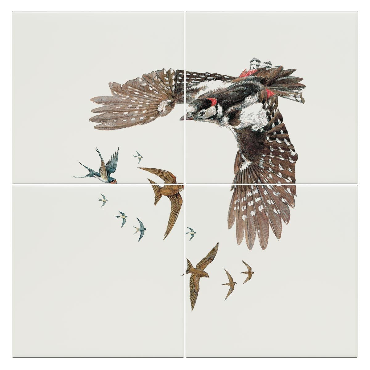 Woodpecker Swallows and Swifts Tile - Countryman John