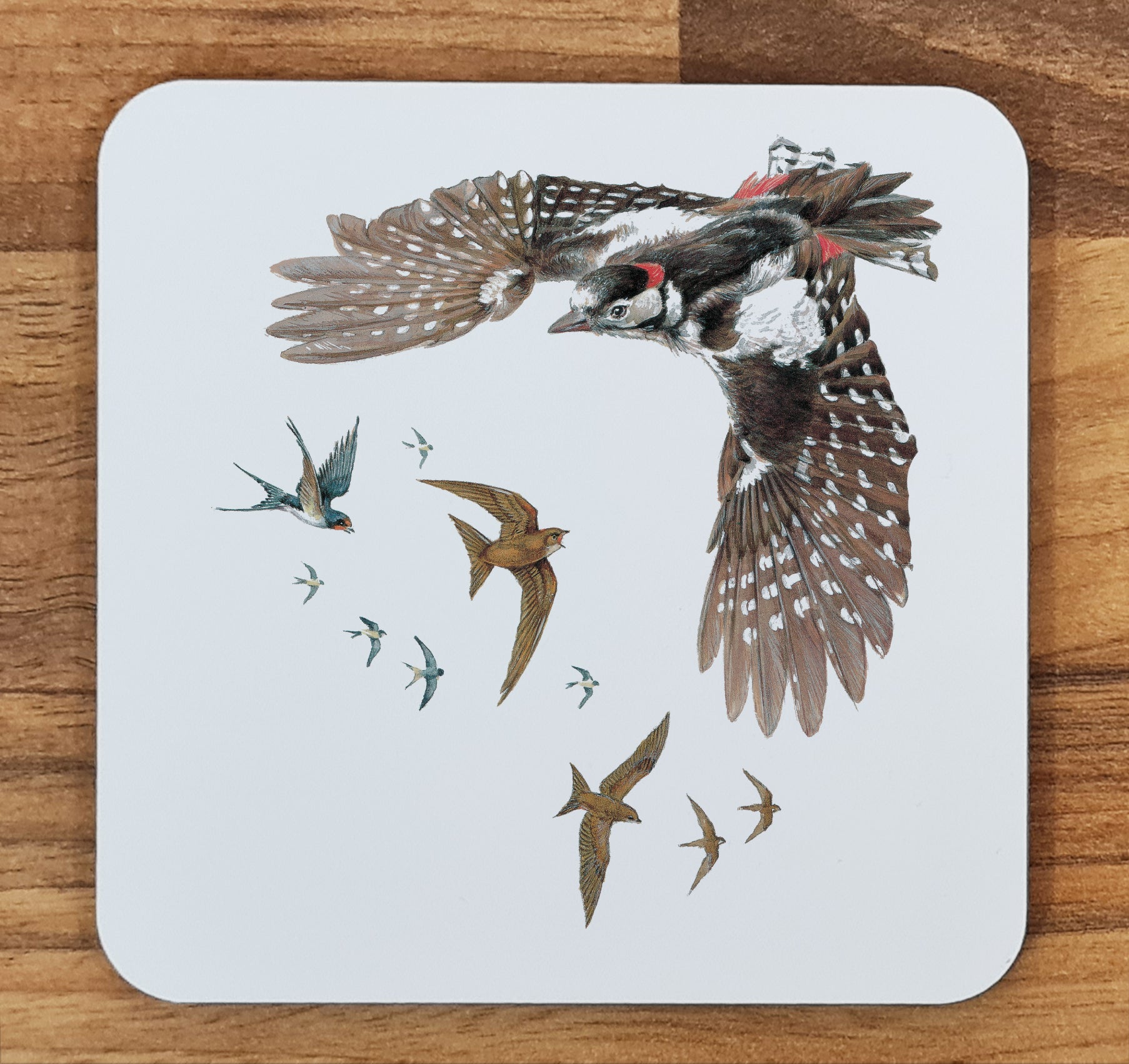 bird coaster