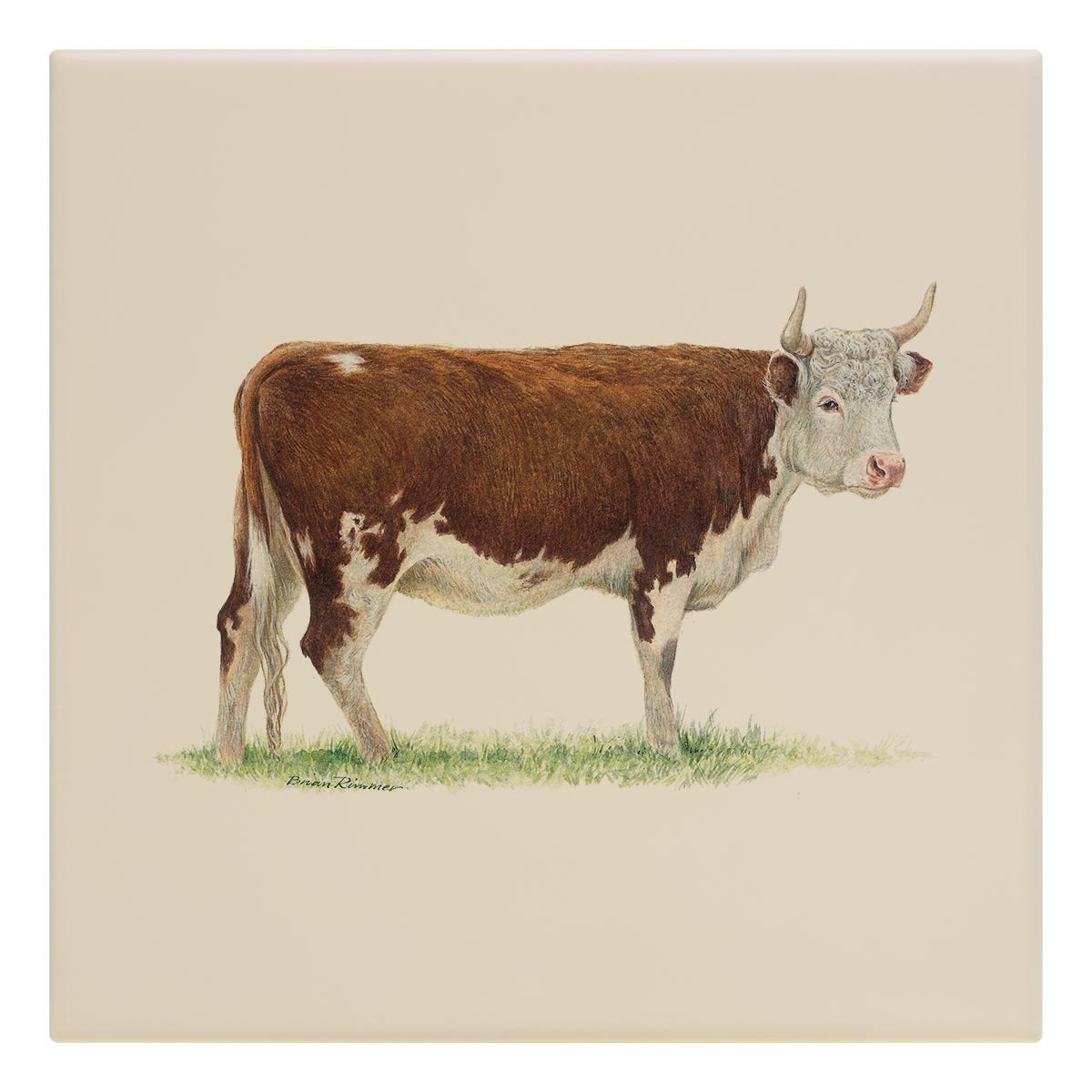 Bullock 2 Tile - Countryman John